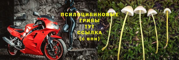 соль курить ск Россошь