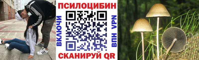 купить наркотики сайты  Алатырь  Галлюциногенные грибы Magic Shrooms 